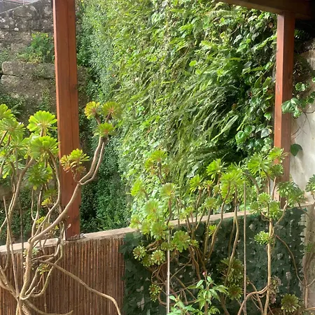 Fontinha * Порту